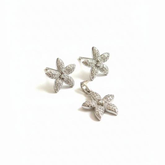 Twinkle Silver Pendent and Earrings